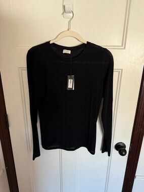 Aritzia Sheer Long Sleeve